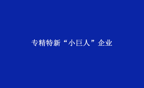 材华科技获评国家级专精特新“小巨人”企业